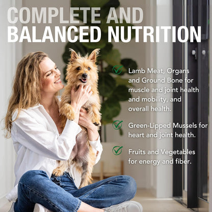 K9 Natural Wet Dog Food Pate, Lamb Feast, 13 Oz Cans (Pack of 12), Grain Free, Made in New Zealand with Grass-Fed, Free-Range Lamb, Single Source, Limited Ingredient