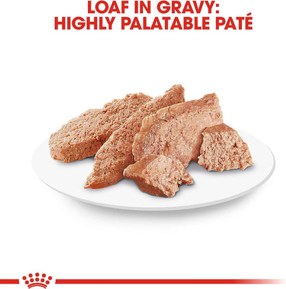 Royal Canin® Feline Breed Nutrition™ Persian Adult Loaf in Sauce Canned Cat Food, 3 oz, 24-Pack