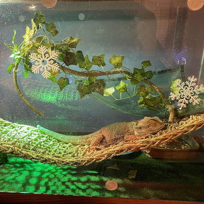 kathson Reptile Hideout Wooden Bridge Bearded Dragon Hammock Reptiles Jungle Climbing Vines Flexible Leaves Bearded Dragon Accessories for Lizard Gecko Chameleon Snake Hamster(5 Pcs)