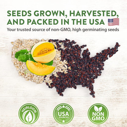 HOME GROWN 𝗨𝗦𝗔 𝗣𝗥𝗘𝗠𝗜𝗨𝗠 Melon Seeds Variety Pack 5 𝗡𝗢𝗡-𝗚𝗠𝗢 Heirloom Vegetable Seeds, Watermelon Cantaloupe Honeydew Sugar Baby & Melon, High Germination for Planting Home Garden Indoors