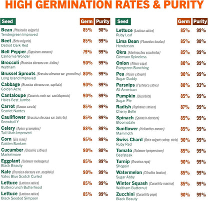 Open Seed Vault 15,000 Non GMO Heirloom Vegetable Seeds for Planting Vegetables and Fruits - 32 Variety Pack of Vegetable Seeds for Gardening, Survival Gear, Seed Vault Emergency Supplies Kit