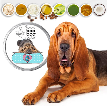 The Blissful Dog 1 oz TIN Bloodhound Booboo Butter