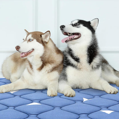 Dog Crate Mat, Ultra Soft Dog Bed Mat for Sleeping with Anti-Slip Bottom, Washable Kennel Pad for Large Medium Small Dogs Breeds with Cute Prints and Dark Colored to Hide Stains (42" X 28")