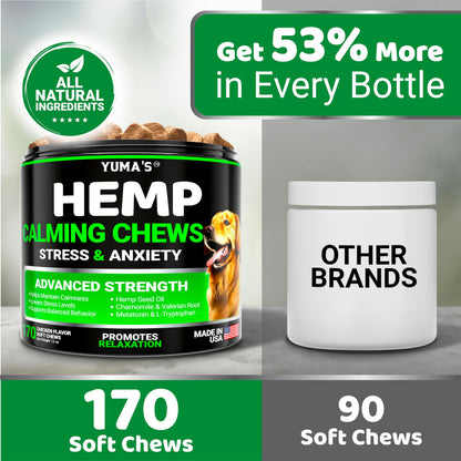 Hemp Calming Chews for Dogs. Chosen for real quality, fits naturally into modern pet homes.