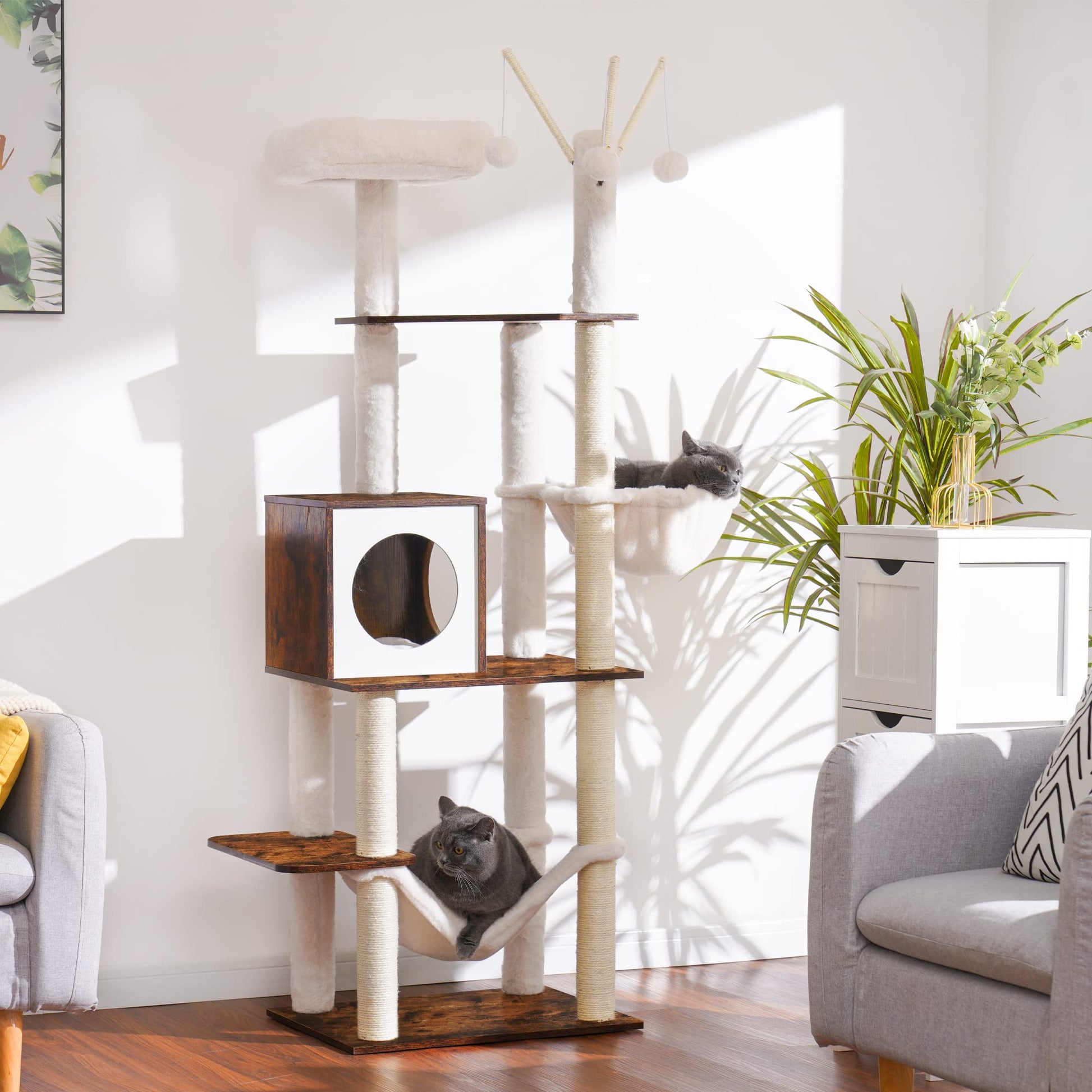 Hey. Chosen for real quality, fits naturally into modern pet homes.