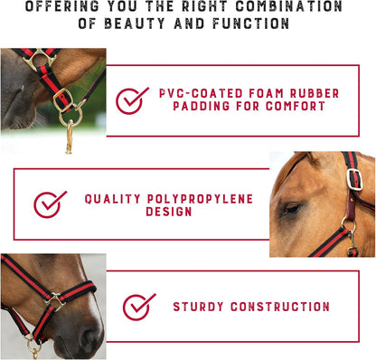Weaver Equine Breakaway Horse Halter, Comfort Foam Padding, Adjustable Chin & Throat Snap Halters for Horses, Equine Tack,Average Size, Red