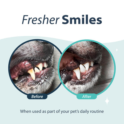 Dental Fresh Water Additive for Dogs, Original Formula, 8oz – Cat & Dog Breath Freshener and Teeth Cleaning for Dental Care for Pets – Add to Water