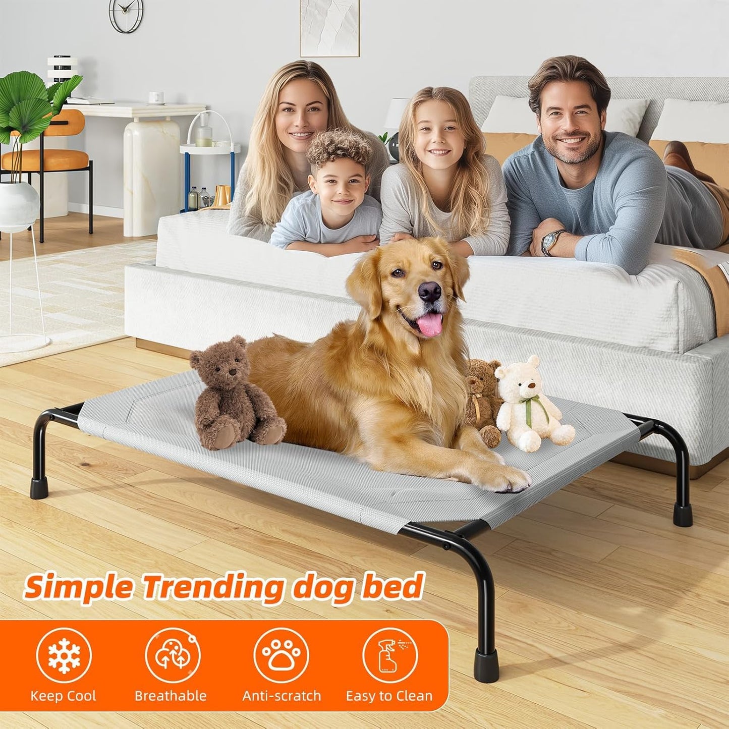 Simple Trending Raised Dog Bed for Large Dogs. Chosen for real quality, fits naturally into modern