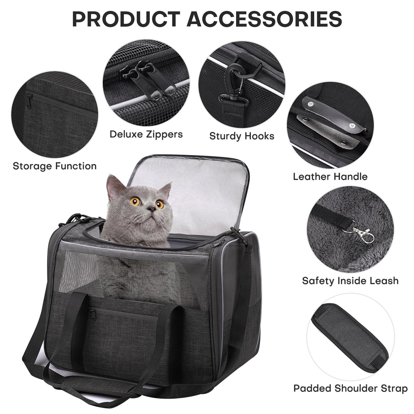 JUNGYOUN Premium ​Cat Carrier. Chosen for real quality, fits naturally into modern pet homes.
