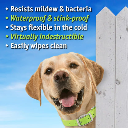 Biothane Custom Dog Collar – Waterproof, Stink-Proof Personalized Collar with Name & Phone Number – Durable, Many Sizes and Colors – Assembled in USA (Sky Blue)