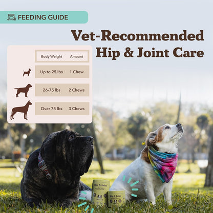 Natural Dog Company Hip & Joint Chews for Dogs with Glucosamine for Dogs + Chondroitin, MSM & Turmeric, Supports Mobility & Reduces Discomfort, Stiffness, Natural Pain Relief Joint Supplement. 180 Ct