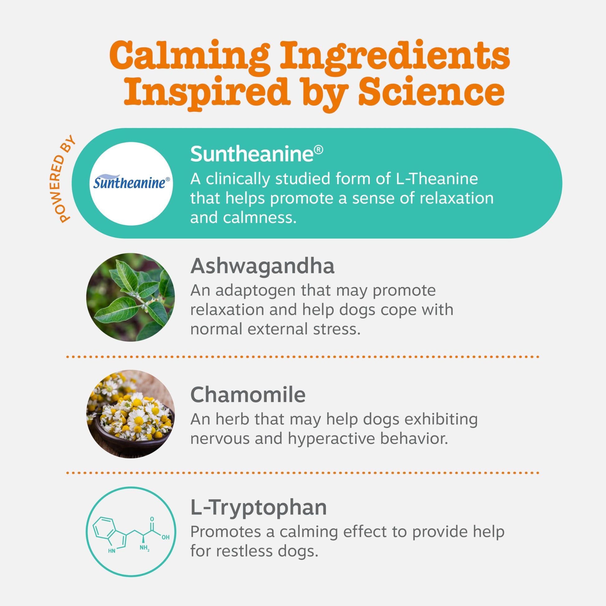 Zesty Paws Calming Chews for Dogs. Chosen for real quality, fits naturally into modern pet homes.