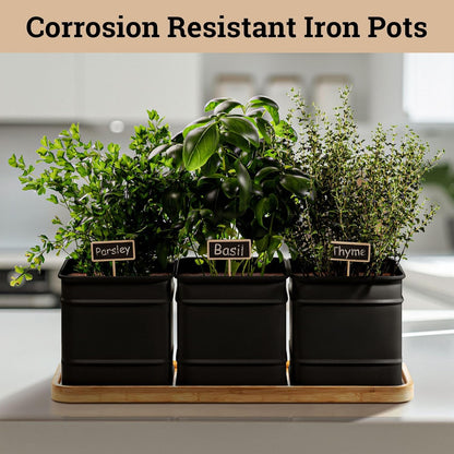 Herb Planter Indoor - 3 Iron Herb Pots with Drainage Holes, Varnished Bamboo Tray, Customizable Labels & Marker Pen - Indoor Herb Garden Planter - 3 Pots for Herbs - Inside Spice Garden - Basil Pot