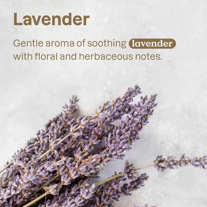 ATTITUDE Waterless Anti-Itching Detangling Spray for Pets, Plant and Mineral-Based Ingredients, Vegan and Cruelty-Free Animal Grooming Products, Lavender, 8 Fl Oz