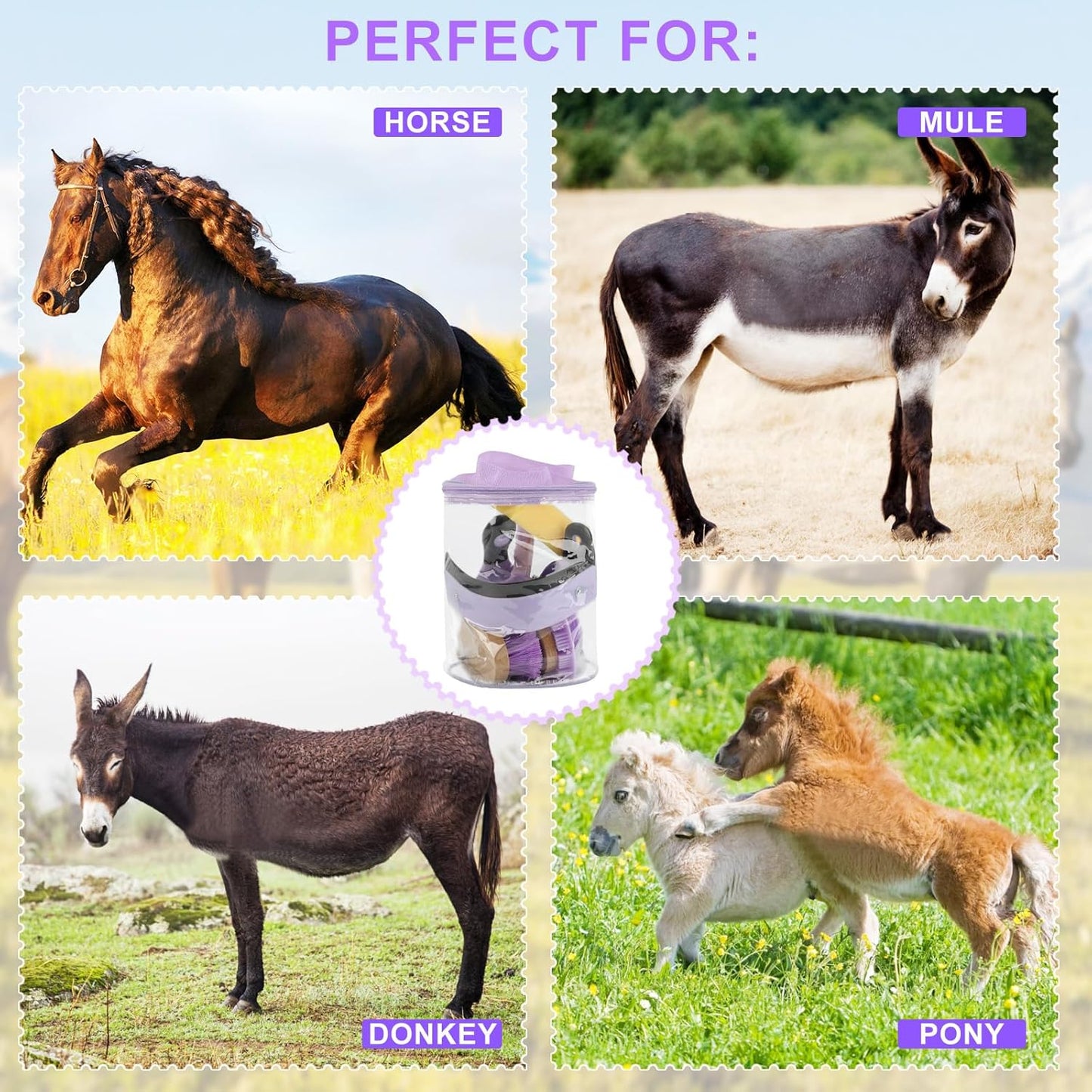 9 Pieces Grooming Kit with Tote Bag, Sweat Scraper, Sponge, Hoof Pick, Curry Comb for Horse Riders Beginners (Purple)