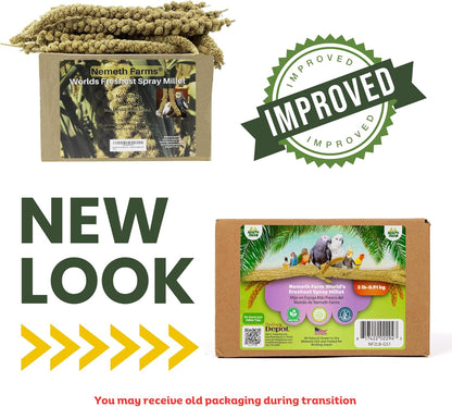 Nemeth Farms–Natural Sun Dried Millet Spray for Pet Birds–Bulk Parrot Seed Treats and Parrot Food–Natural Non GMO Millet Spray–Cockatiels Lovebirds Parakeet 2 lbs.