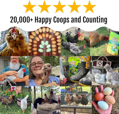 Dust Bath Herb Blend for Chickens - Keep Feathers Clean & Healthy - Food Grade, Natural Nesting Box Herbs for Bedding, Coop Floor, USA (12 oz)