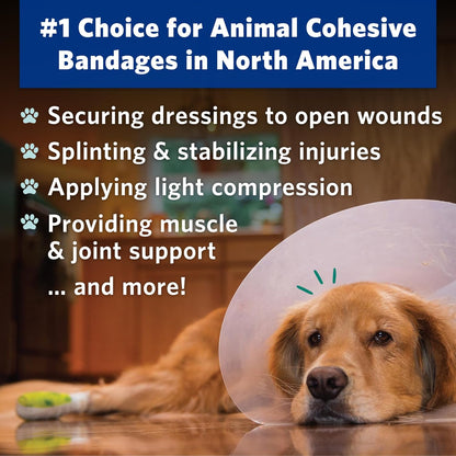 PetFlex Pet Pack – Flexible Self-Adhering Elastic Bandage for Wound Care – First Aid Wrap for Small Animals Like Dogs, Cats, and Other Pets - 2 inch, 6 Rolls