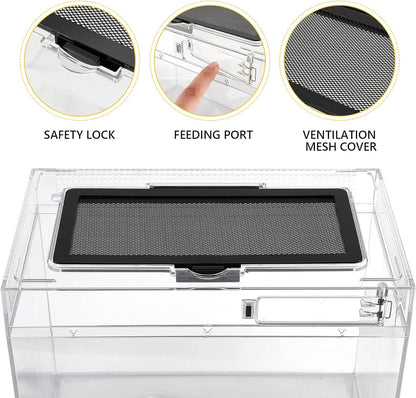 Reptile Terrarium Kit 12" x 7"x 9" Spider Tank Starter Tank, Leopard Gecko Tank, Tarantula Cage Hermit Crab Habitat, Lizard Enclosure, Insect Tank Kit, Jumping Spider Enclosure, Small Isopod Terrarium