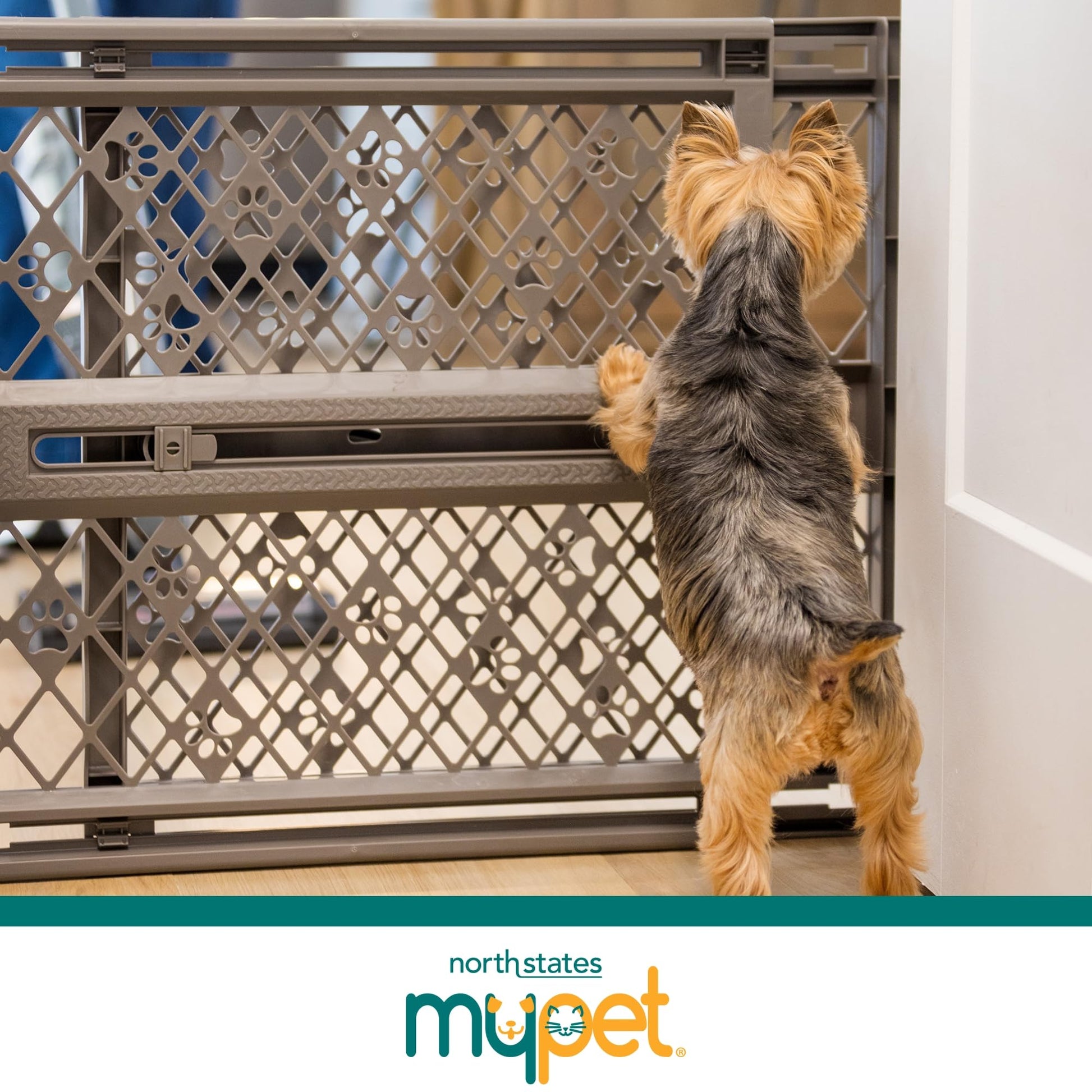 MYPET Paws Portable Pet Gate: 26. Chosen for real quality, fits naturally into modern pet homes.