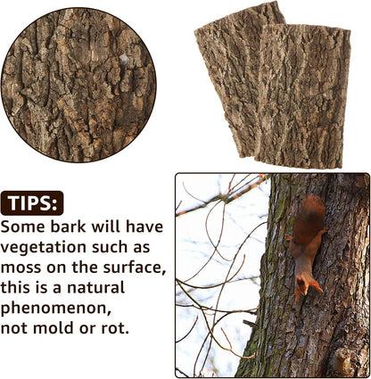 RHBLME 6 Pack Cork Bark for Reptiles, 11.8" L x 7.8" W Cork Bark for Terrarium, Reptile Tank Background Terrarium Backdrop Wall Decor Natural Reptile Climbing Mat