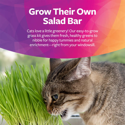 SmartyKat Sweet Greens Organic Oat Grass All. Chosen for real quality, fits naturally into modern