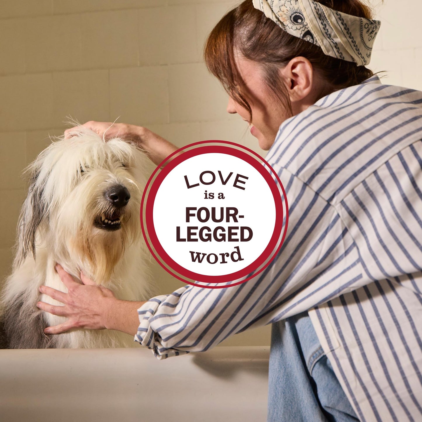 MRS. MEYER'S Clean Day 3 in 1 Dog Shampoo. Chosen for real quality, fits naturally into modern pet