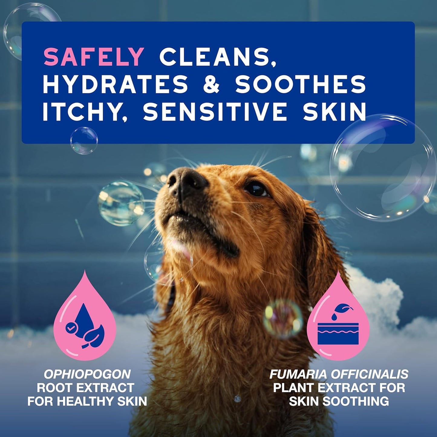 DOUXO® Skin & Coat SPA - Ultra-Safe Dog Shampoo for Itchy Skin, 16 fl oz, Skin-Friendly Formula Cleans and Soothes, Leaves The Coat Soft and Radiant