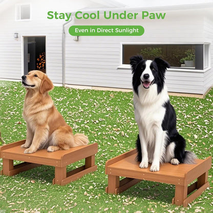 Wooden Dog Training Platform and Agility System, Durable Pet Training System for Place, Agility, & Steadiness Training for Indoor or Outdoor Use