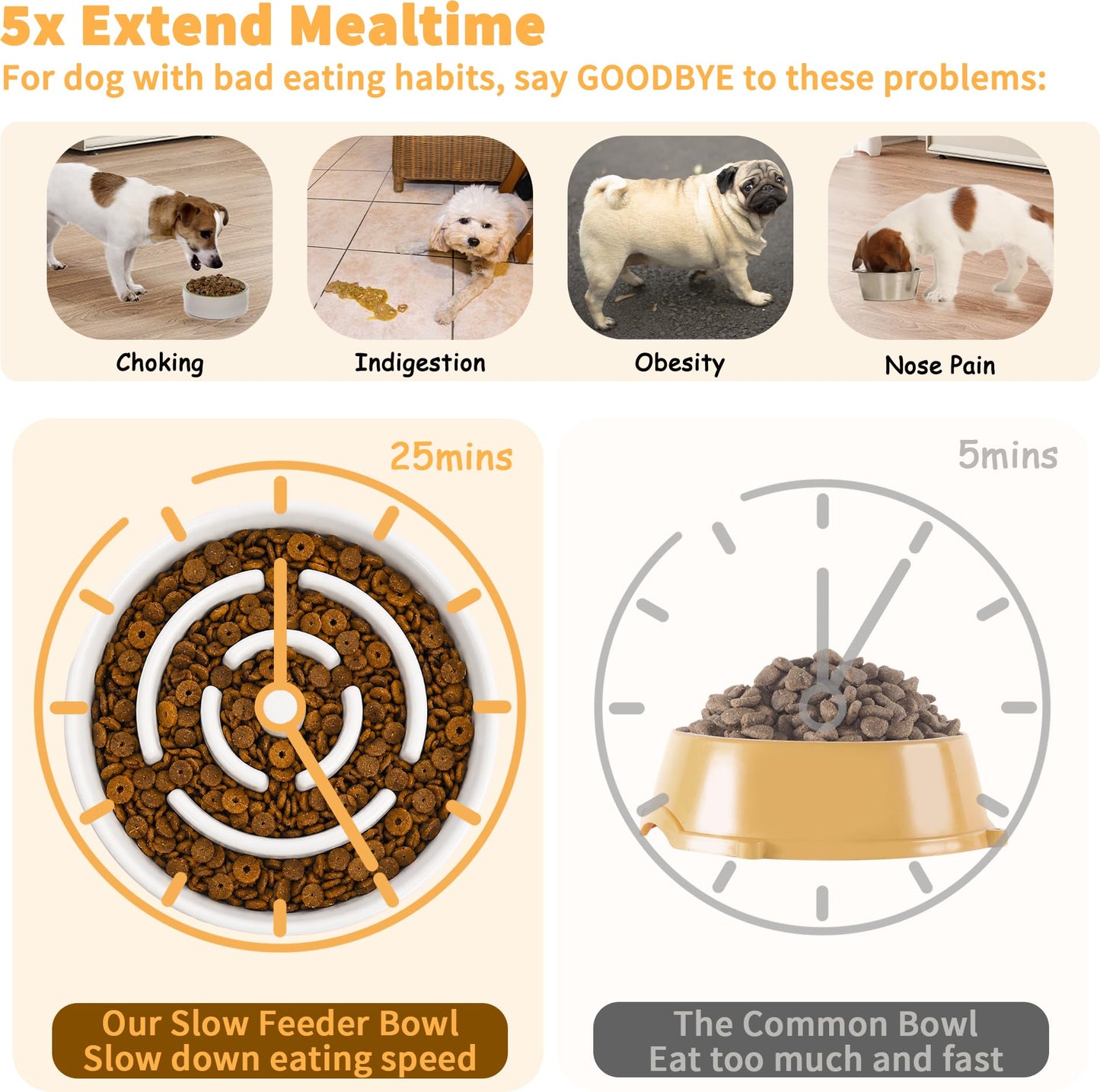 Elevated Slow Feeder Dog Bowl. Chosen for real quality, fits naturally into modern pet homes.
