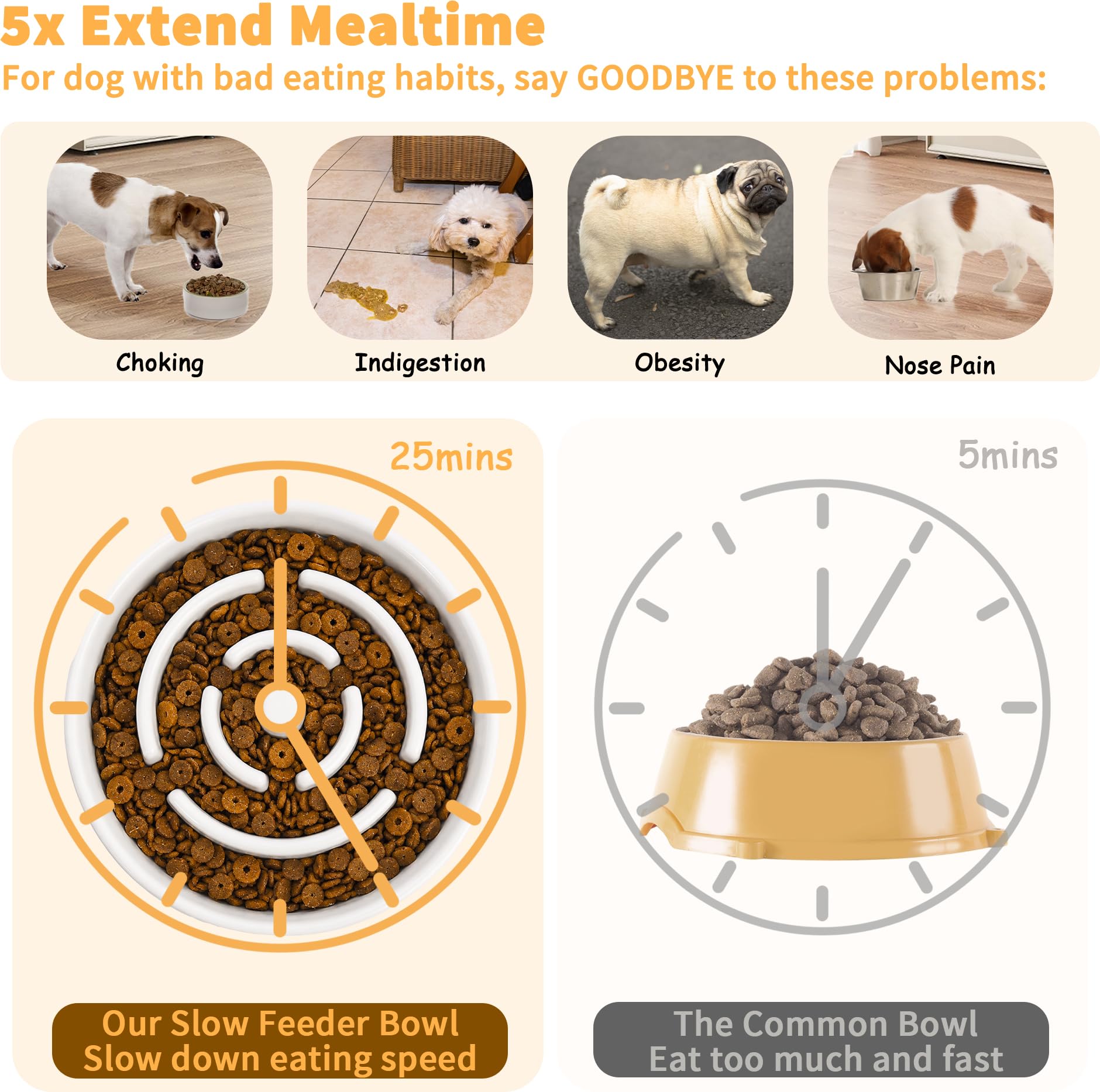 Elevated Slow Feeder Dog Bowl. Chosen for real quality, fits naturally into modern pet homes.