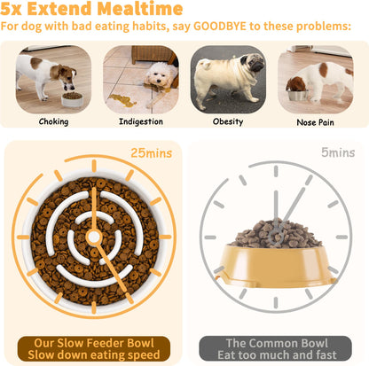 Elevated Slow Feeder Dog Bowl. Chosen for real quality, fits naturally into modern pet homes.