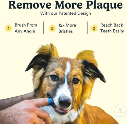 Jasper Dog Toothbrush, 360º Dog Tooth Brushing Kit, Cat Toothbrush, Dog Teeth Cleaning, Dog Finger Toothbrush, Use with Dog Toothpaste - Clear 2-Pack