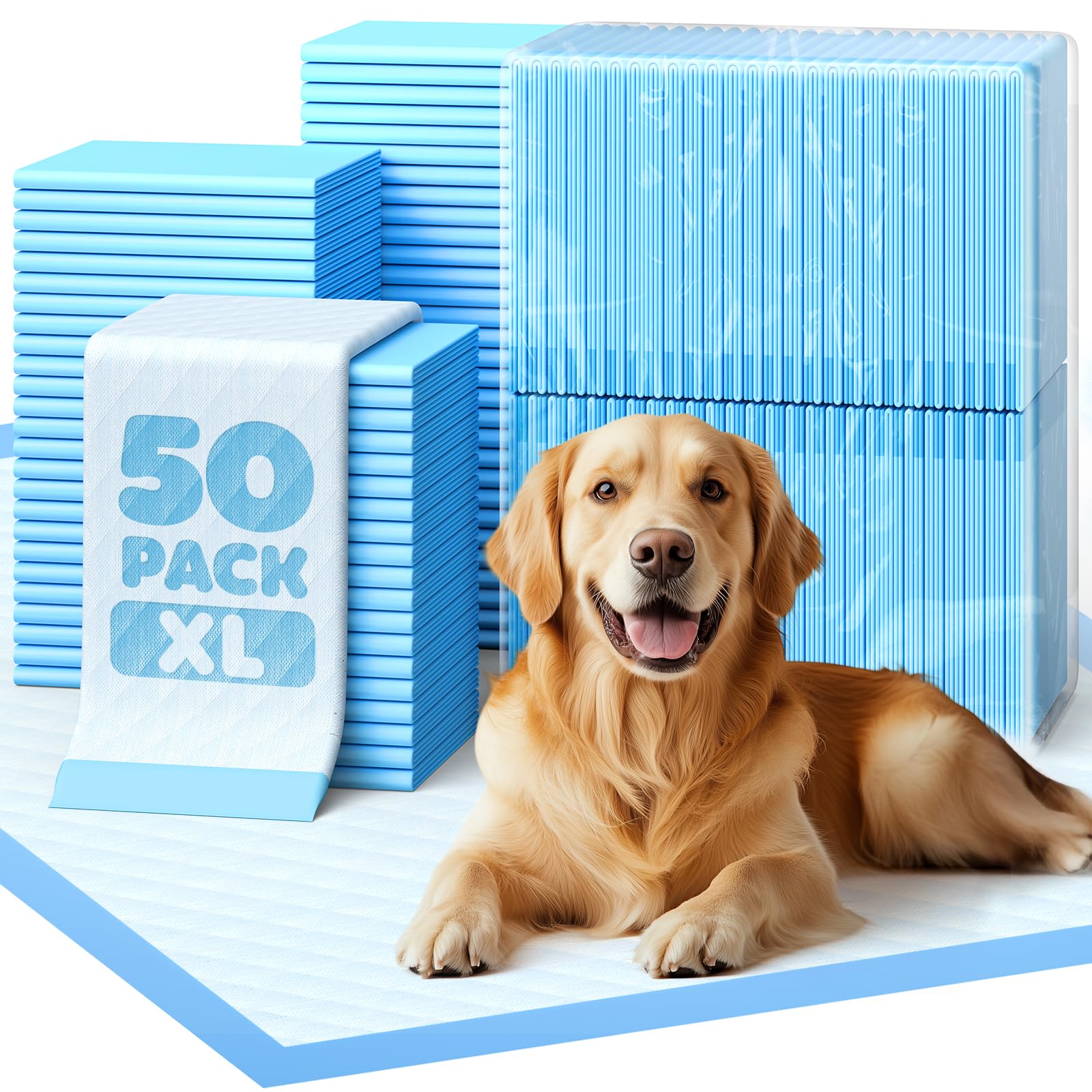 50. Chosen for real quality, fits naturally into modern pet homes.