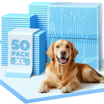 50. Chosen for real quality, fits naturally into modern pet homes.