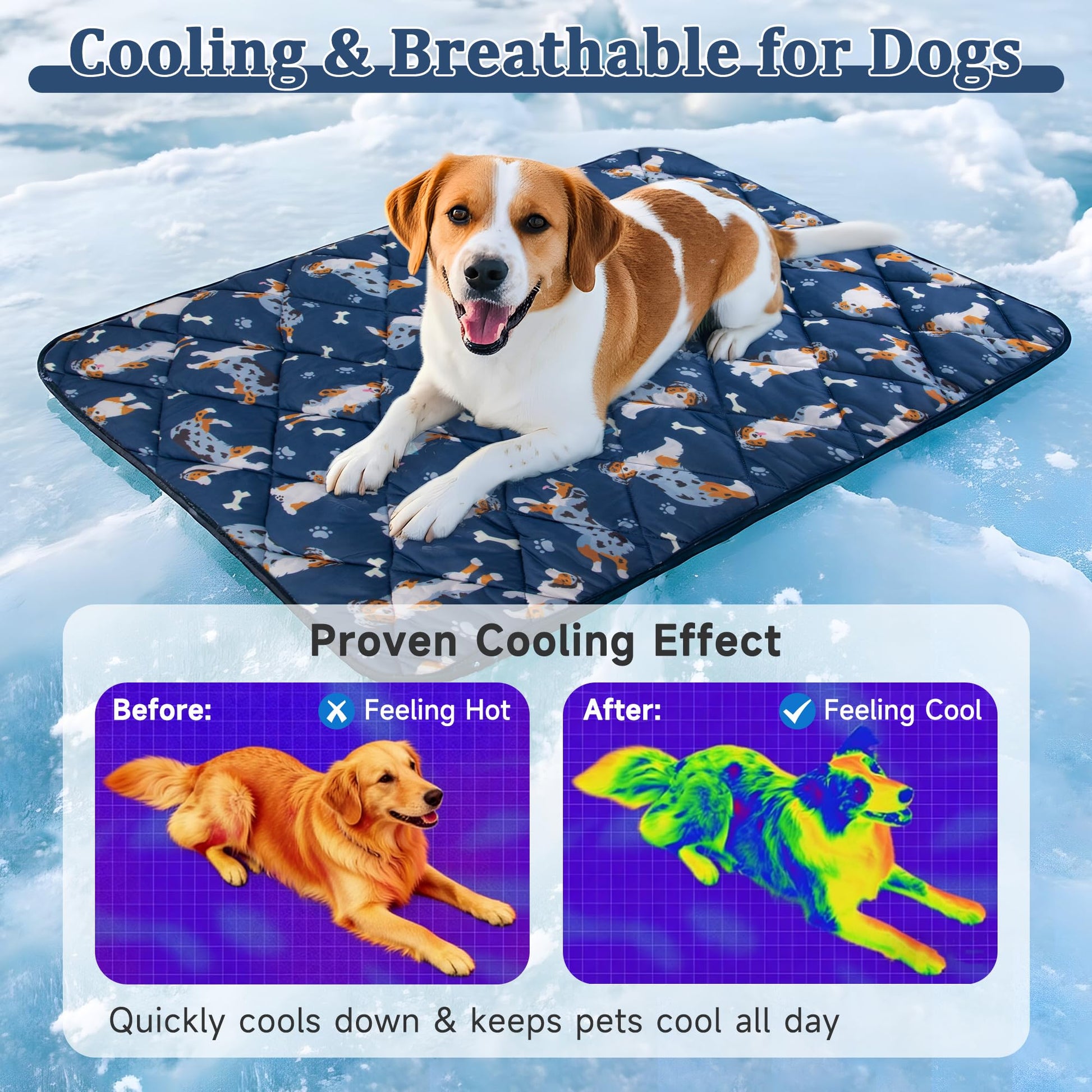 Pedobi Dog Cooling Mat. Chosen for real quality, fits naturally into modern pet homes.