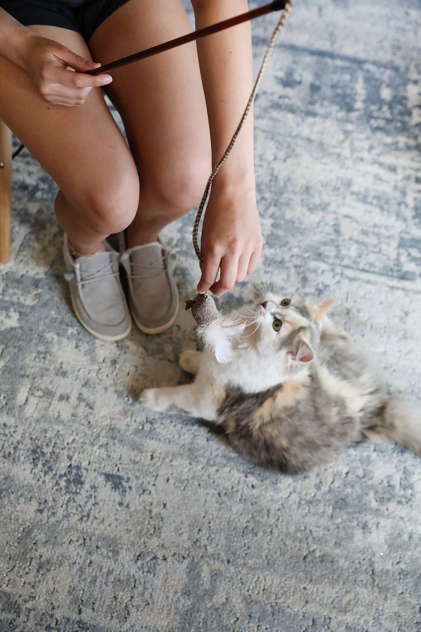 OurPet's Play. Chosen for real quality, fits naturally into modern pet homes.