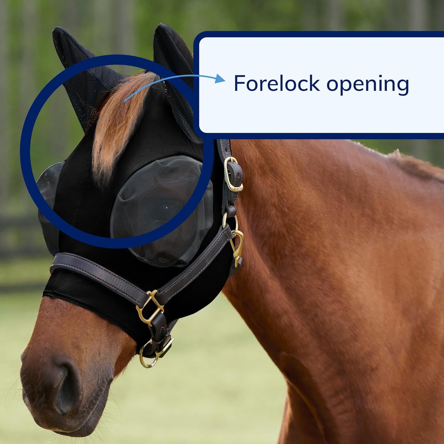 SmartEquine Comfort Fly Mask with SmartCore Technology | UV Horse Mask | UPF 50 | Forelock Hole | Stretch Material | Fine Mesh Around Ears | Moisture-Wicking for Cool Comfort (Cob)