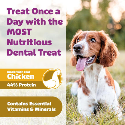 Dog Dental Treats – Vet VOHC Approved – Delicious Chicken Protein – Removes Tartar with Cleaning Comb Shape – Dental Dog Treats for Medium Dogs (24oz, 30 Count)