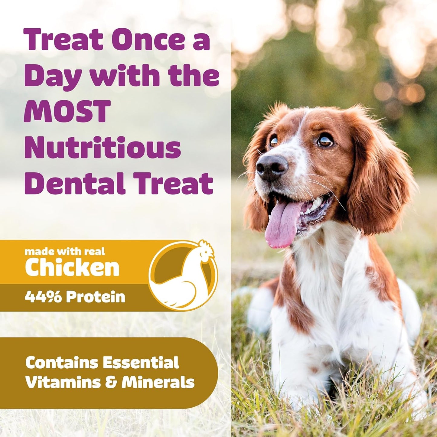Dog Dental Treats – Vet VOHC Approved, Removes Tartar & Cleans Teeth – Yummy High Protein Chicken Treat for Large Dogs (Mini Pack, 6 Count)