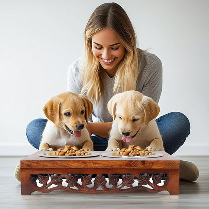 Elevated Pet Feeder for Dogs and Cats - Scroll Carved Wood Raised Dog Bowl Stand - Pet Feeding Stand with Two Steel Bowls - Raised Dog Bowl for Food and Water - Pet Feeding Station -17x11x4- IRONGATE