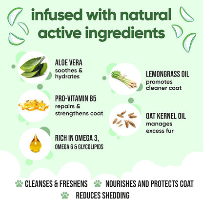 shed Control Dog Shampoo by Buddycare | Dry Skin & Itchy Skin Relief for Smelly Dogs | Deep Cleansing for Dogs Puppy Sensitive Skin | Lemongrass Scented | with Aloe & Vitamin B5 (16.90oz)