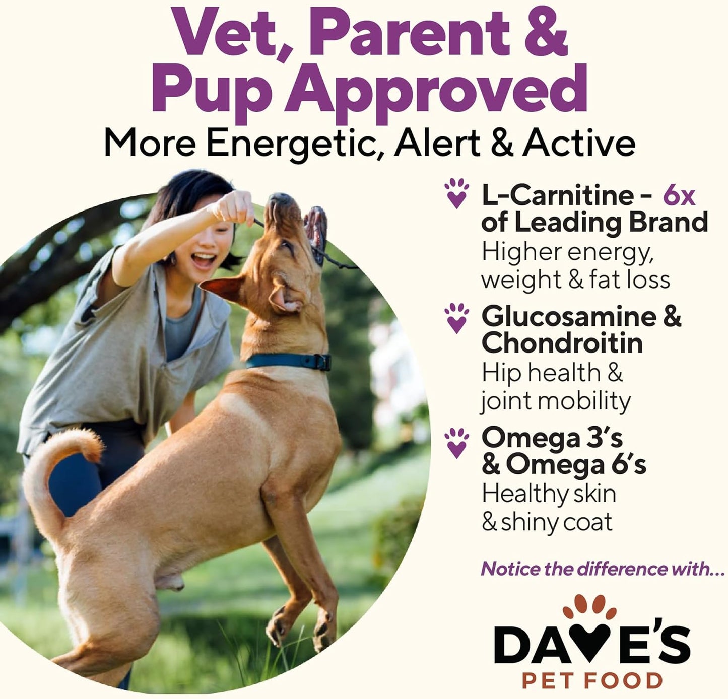 Dave's Pet Food Weight Management Dog Food (Turkey & Vegetables), Made in USA, Weight Loss, Soft, Canned Wet, 13.2oz (12 Pack)