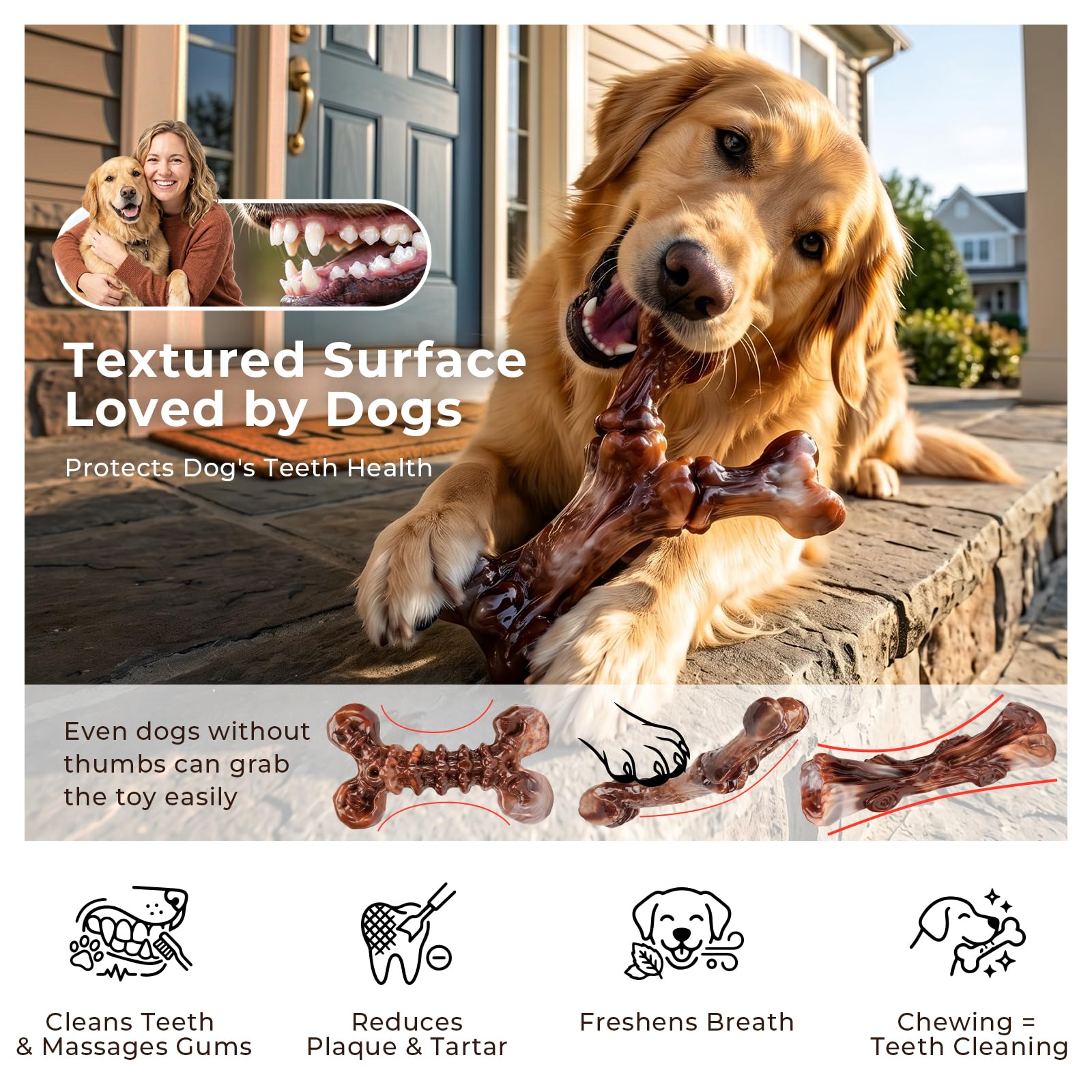 Kseroo 3. Chosen for real quality, fits naturally into modern pet homes.