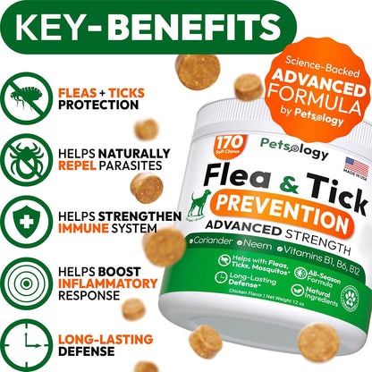 Flea and Tick Prevention for Dogs Pills - Natural Dog Flea & Tick Control - 170 Soft Chewables - Oral Defense Treatment for Dogs Supplement - Vet Formulated Chews - All Breeds & Ages - Made in USA