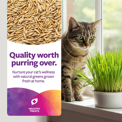 SmartyKat Sweet Greens Organic Oat Grass All. Chosen for real quality, fits naturally into modern