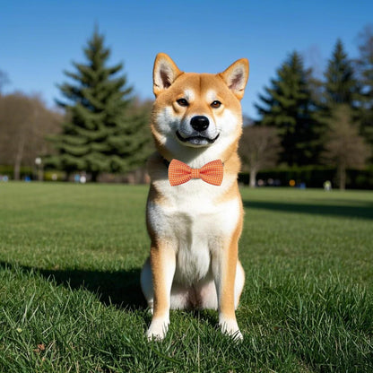 PET SHOW 8 Colors Dot Small Dogs Collar Embellishment Attachment Bow Ties Puppies Cats Collar Charms Accessories Slides Bowties for Birthday Wedding Parties Assorted Pack of 8