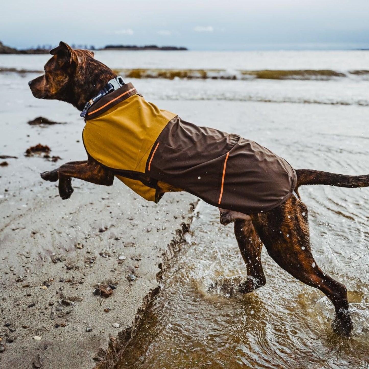 Ruffwear. Chosen for real quality, fits naturally into modern pet homes.