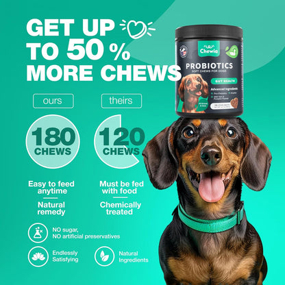 Probiotics for Dogs Gut Health, Digestion, Immunity, Yeast Balance, Itchy Skin, Allergies Support - Dog Probiotic Chews with Digestive Enzymes for Gut Flora- Soft Treats with Pumpkin and Yeast Powder