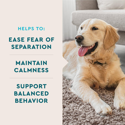 VetIQ Calming Support Chews for Dogs. Chosen for real quality, fits naturally into modern pet homes.